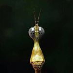 Profile Picture of Brunson Paul (@paulbrunson6) on Instagram