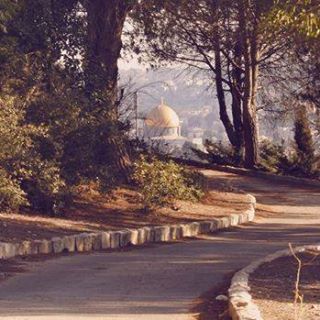 Profile Picture of Omar Badwan (@Omar-Badwan) on Facebook