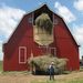 Profile Photo of Bruce Willemsen (@barnbuilder) on Pinterest