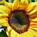 Profile Picture of Wilfred Bayer (@Wilfred-Bayer) on Facebook