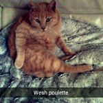 Profile Picture of Richard Salerno (@rirou.salerno) on Instagram