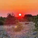 Profile Picture of Louis Umlauf (@Louis-Umlauf) on Facebook