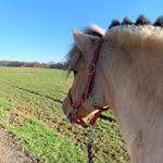 Sabrina Loyda - Instagram Profile Picture of Sabrina Loyda (@sabrinaloyda) on Instagram