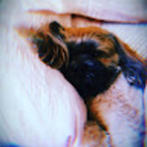 Profile Picture of Alexsis Jenkins (@alexsis_jenkins) on Poshmark