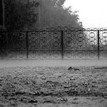 Profile Picture of Raymond Brady (@raymondbrady) on Instagram