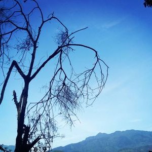 Profile Picture of Al Patton (@Al2247400831) on Twitter