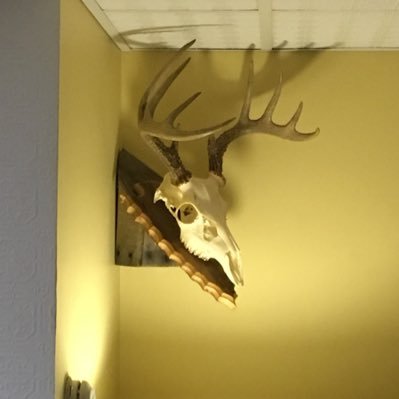 Profile Picture of MikePizzle (@MikeRumRunner) on Twitter