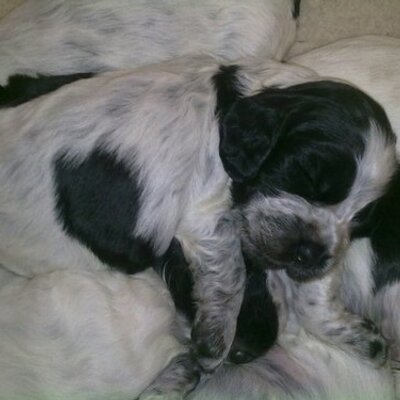 Profile Picture of Karen Gould (@karbeckcall) on Twitter