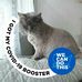 Profile Picture of Joanne Lufkin (Joanne Neubert Lufkin) (@joanne.luf) on Facebook