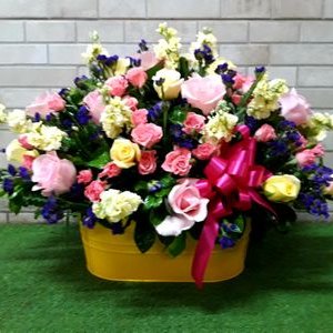 Profile Picture of Rafael Pacas (@pacas_rafael) on Twitter