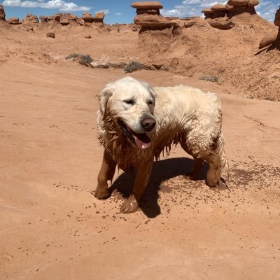 Profile Picture of Paul Quinlan (@pqpcut) on Twitter