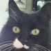 Profile Picture of Tammy Piotrowski (@tammy.piotrowski.739) on Facebook