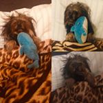 Profile Picture of Mona_and_max (@mona_and_max) on Instagram