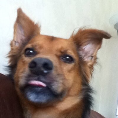 Profile Picture of Sam Oates (@oates_sam) on Twitter