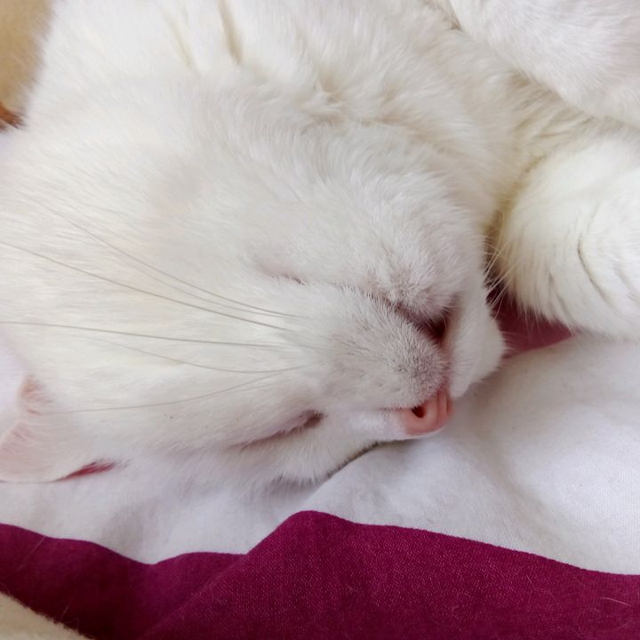 Profile Picture of fredisson2365 (@christinahopf) on Tiktok