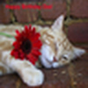 Profile Picture of Amanda Box (@Amanda Box) on Flickr