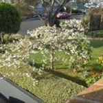 Profile Picture of Debbie Jane Sinnamon (@debbiesinnamon) on Instagram