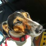 Profile Picture of didac vulcano (@jack_didac) on Instagram