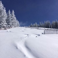 Profile Picture of Stephen Hess (@stephen-hess-8) on Quora