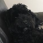 Profile Picture of Zack Howard (@zack_howard123) on Instagram