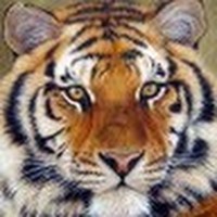 Profile Picture of Teresa Bynum (@teresa-bynum) on Quora
