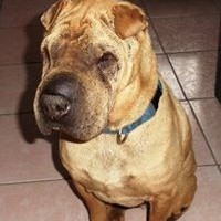 Profile Picture of Michael Benes (@michael-benes) on Quora