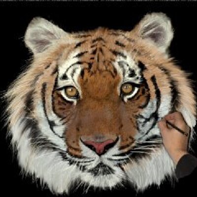 Profile Picture of Peter Loh (@peterloh99) on Twitter