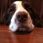 Matt Ragusa - Instagram Profile Picture of Matt Ragusa (@mragu1) on Instagram