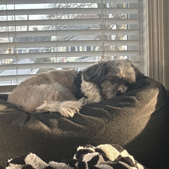Profile Picture of brendahaskell11 (@brendahaskell11) on Tiktok