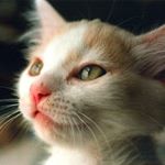 Profile Picture of Blake (Work account) (@blake.trahan50) on Instagram