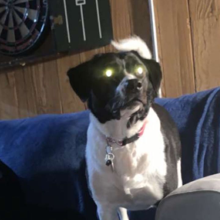 Profile Picture of Barrett Paul (@barrettpaul) on Tiktok