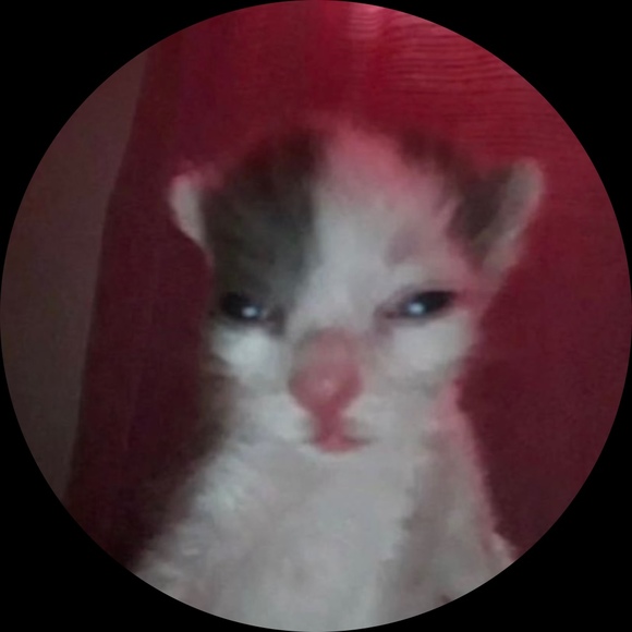 Profile Picture of Teddy Tinker (@pupeat3r) on Poshmark