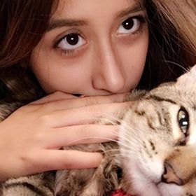 Profile Picture of Lizbeth Serrano (@lizbethserrano7) on Pinterest