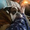 Profile Picture of Shawna McCarty King (@@shawnamccartyking) on Tiktok