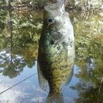 Profile Picture of brandon hankins (@brandonhankins) on Instagram