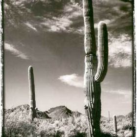 Profile Picture of Bryan Mertz (@bryanmertz) on Pinterest