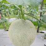 Jimmy Mic - Facebook Profile Picture of Jimmy Mic (@Jimmy-Mic) on Facebook