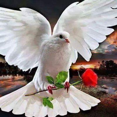 Profile Picture of Rene Saenz (@ReneSaenz4) on Twitter