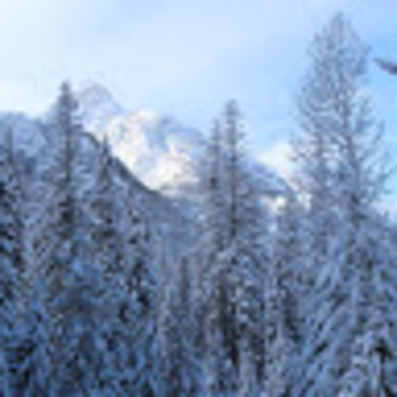 Allison Mikyska - Poshmark Profile Picture of Allison Mikyska (@amiky6) on Poshmark