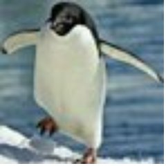 Profile Picture of Alvaro Viveros (@u48m684tbg) on Twitter