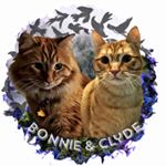 Profile Picture of Bonnie & Clyde Adams (@bonnie_n_clyde_barrow) on Instagram