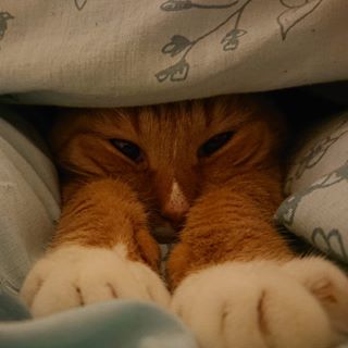 Profile Picture of Clare Mowforth (@clare.mowforth) on Facebook