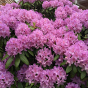 Profile Picture of John Marsh (@JohnMarsh-gs5kc) on Youtube