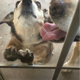 Profile Picture of Robin Brady (@RobinBrady21419) on Twitter