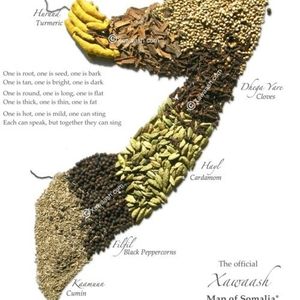 Profile Picture of Mohamed Abdullaahi Jama (@mohamed.sahal) on Myspace