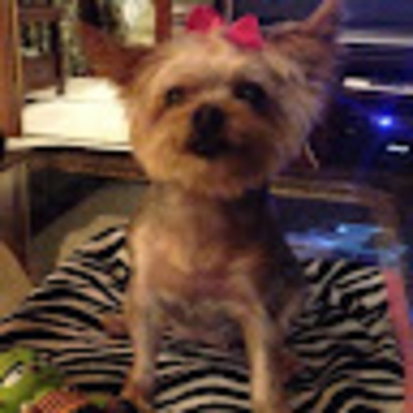 Profile Picture of Pamela Olmstead (@pamela_olmstead) on Poshmark