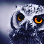 Gyarmathy Timike - Instagram Profile Picture of Gyarmathy Timike (@gyarmathytimike) on Instagram