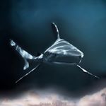 Profile Picture of Roger Rufener (@rogerrufener17) on Instagram