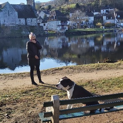 David Lavergne - Twitter Profile Picture of David Lavergne (@DavidLavergne14) on Twitter