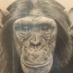 Profile Picture of Guy Kiernan (@guykiernan) on Instagram